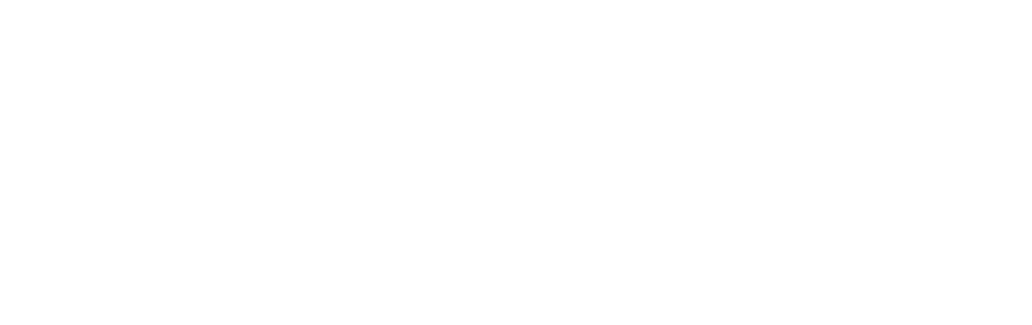The University of Sheffield